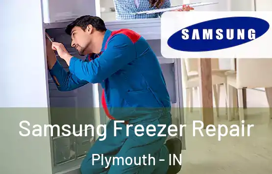  Samsung Freezer Repair Plymouth - IN