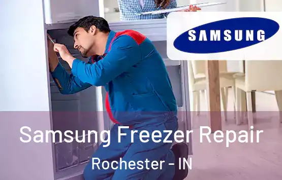  Samsung Freezer Repair Rochester - IN