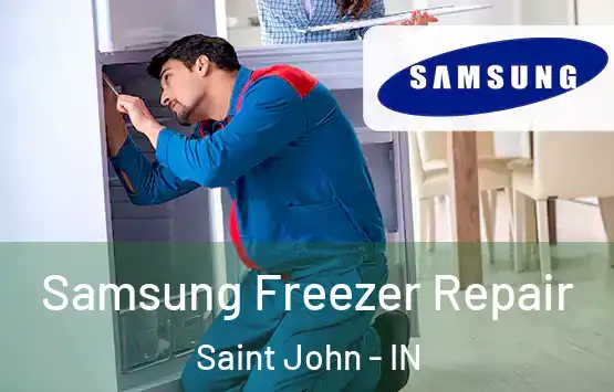  Samsung Freezer Repair Saint John - IN