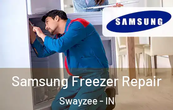  Samsung Freezer Repair Swayzee - IN