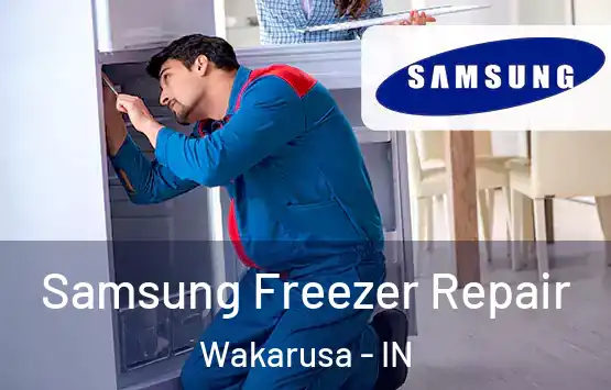  Samsung Freezer Repair Wakarusa - IN