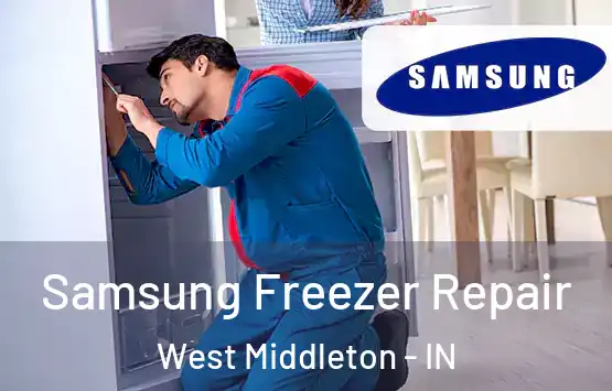 Samsung Freezer Repair West Middleton - IN