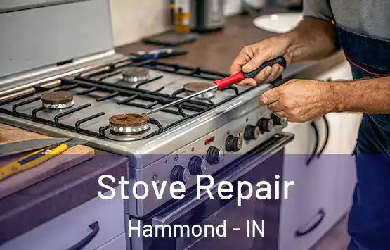  Stove Repair Hammond - IN