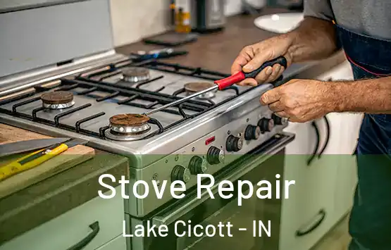  Stove Repair Lake Cicott - IN