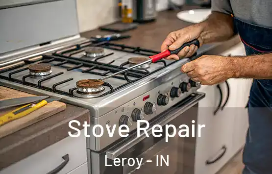 Stove Repair Leroy - IN