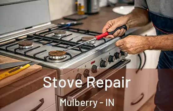  Stove Repair Mulberry - IN