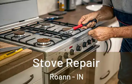  Stove Repair Roann - IN
