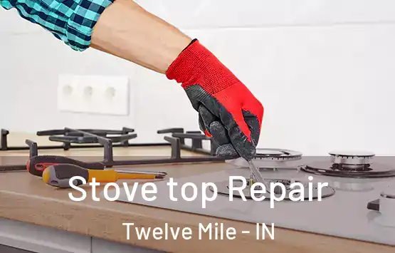  Stove top Repair Twelve Mile - IN