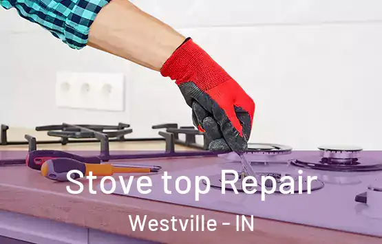  Stove top Repair Westville - IN