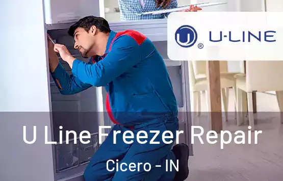  U Line Freezer Repair Cicero - IN