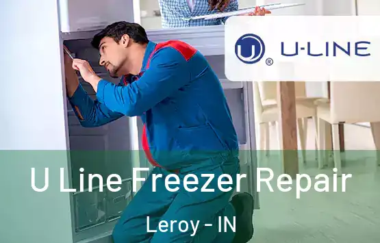  U Line Freezer Repair Leroy - IN