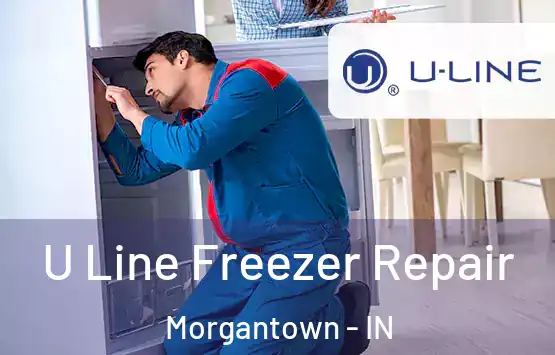  U Line Freezer Repair Morgantown - IN