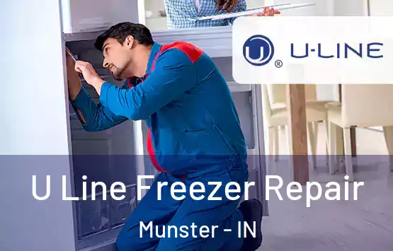  U Line Freezer Repair Munster - IN