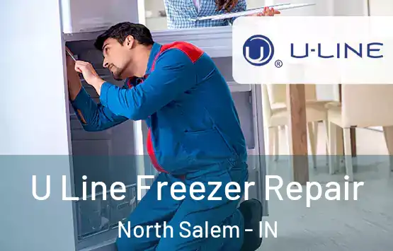  U Line Freezer Repair North Salem - IN