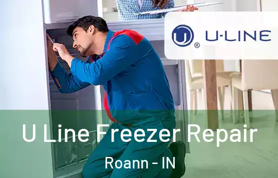  U Line Freezer Repair Roann - IN
