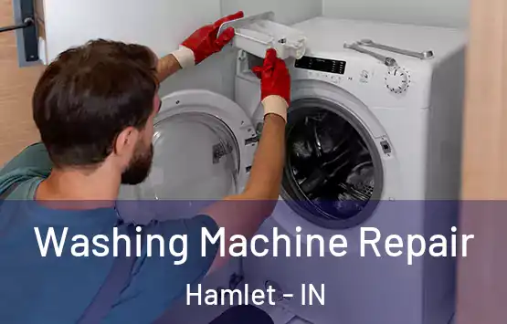  Washing Machine Repair Hamlet - IN