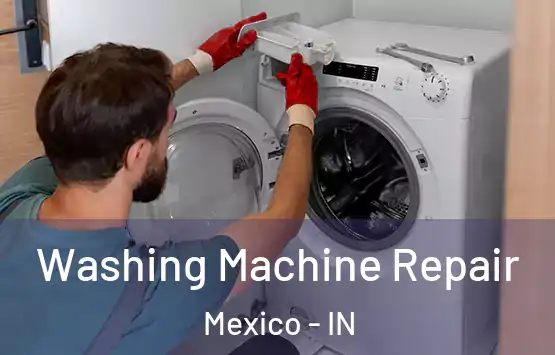  Washing Machine Repair Mexico - IN