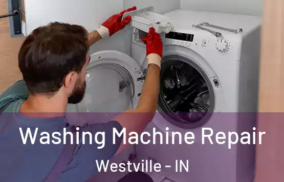  Washing Machine Repair Westville - IN