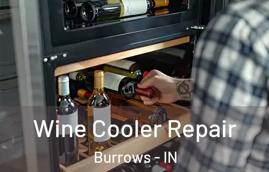  Wine Cooler Repair Burrows - IN