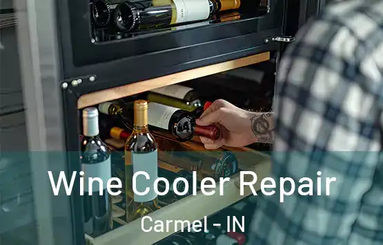  Wine Cooler Repair Carmel - IN