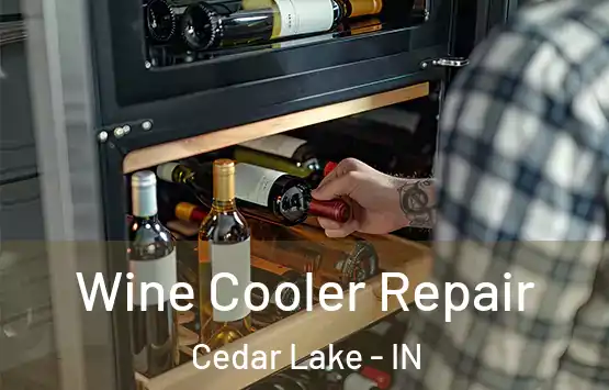  Wine Cooler Repair Cedar Lake - IN