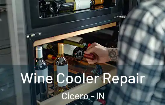  Wine Cooler Repair Cicero - IN