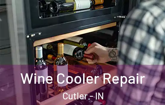  Wine Cooler Repair Cutler - IN