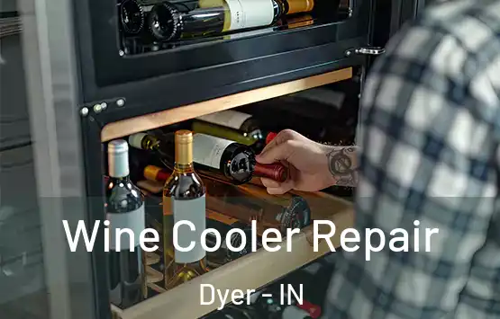  Wine Cooler Repair Dyer - IN
