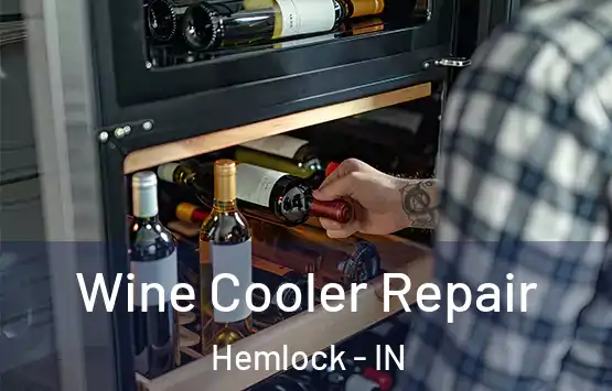  Wine Cooler Repair Hemlock - IN