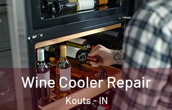  Wine Cooler Repair Kouts - IN