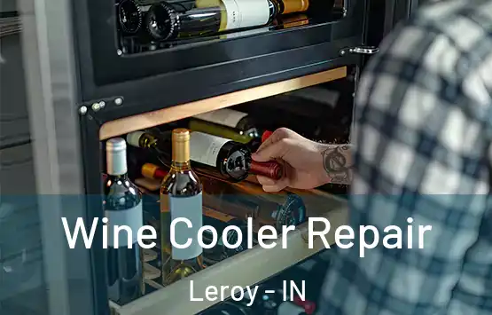  Wine Cooler Repair Leroy - IN