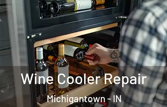  Wine Cooler Repair Michigantown - IN