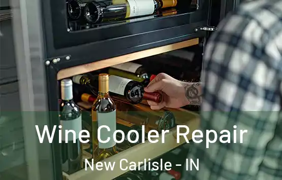  Wine Cooler Repair New Carlisle - IN