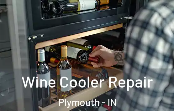  Wine Cooler Repair Plymouth - IN