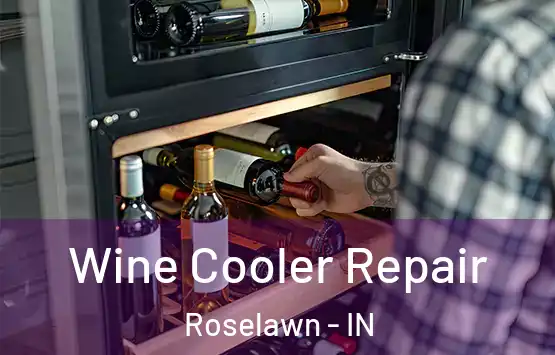  Wine Cooler Repair Roselawn - IN