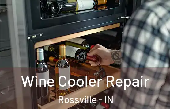  Wine Cooler Repair Rossville - IN