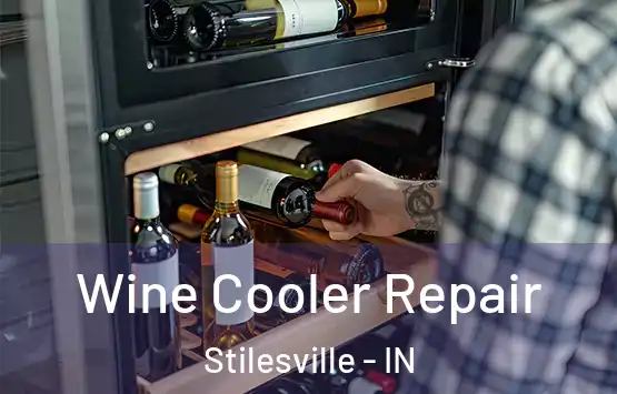 Wine Cooler Repair Stilesville - IN