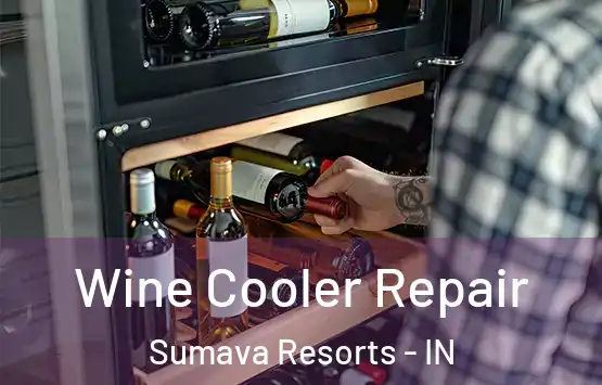  Wine Cooler Repair Sumava Resorts - IN