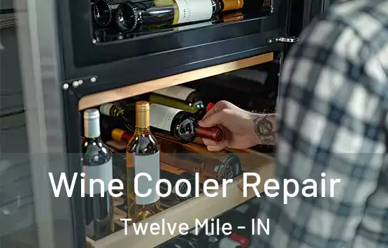  Wine Cooler Repair Twelve Mile - IN