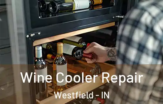  Wine Cooler Repair Westfield - IN