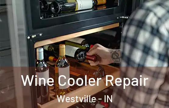  Wine Cooler Repair Westville - IN