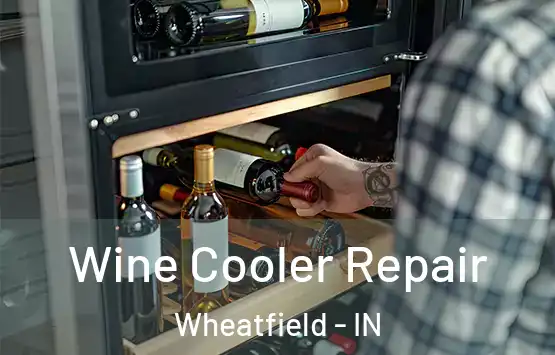  Wine Cooler Repair Wheatfield - IN