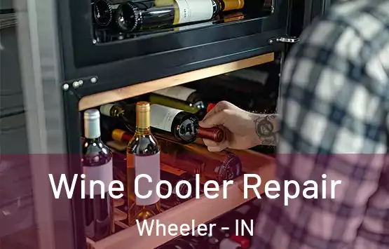  Wine Cooler Repair Wheeler - IN