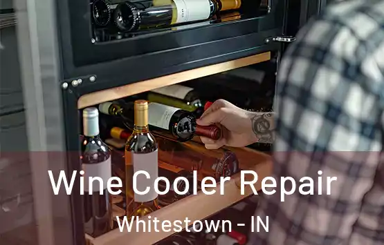  Wine Cooler Repair Whitestown - IN