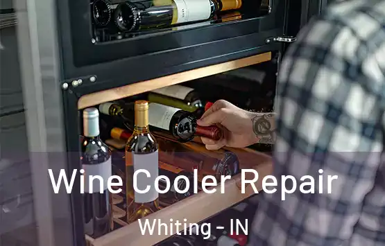  Wine Cooler Repair Whiting - IN